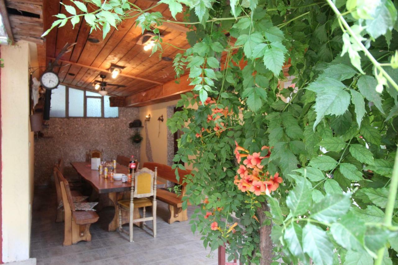 Apartmani Irena Novi Vinodolski Buitenkant foto